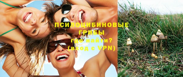 COCAINE Каменногорск