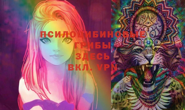 экстази Каменка
