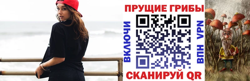 Галлюциногенные грибы Psilocybine cubensis  Купить закладки  Богородицк 